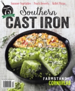 Southern-Cast-Iron June 01, 2017 Issue Cover