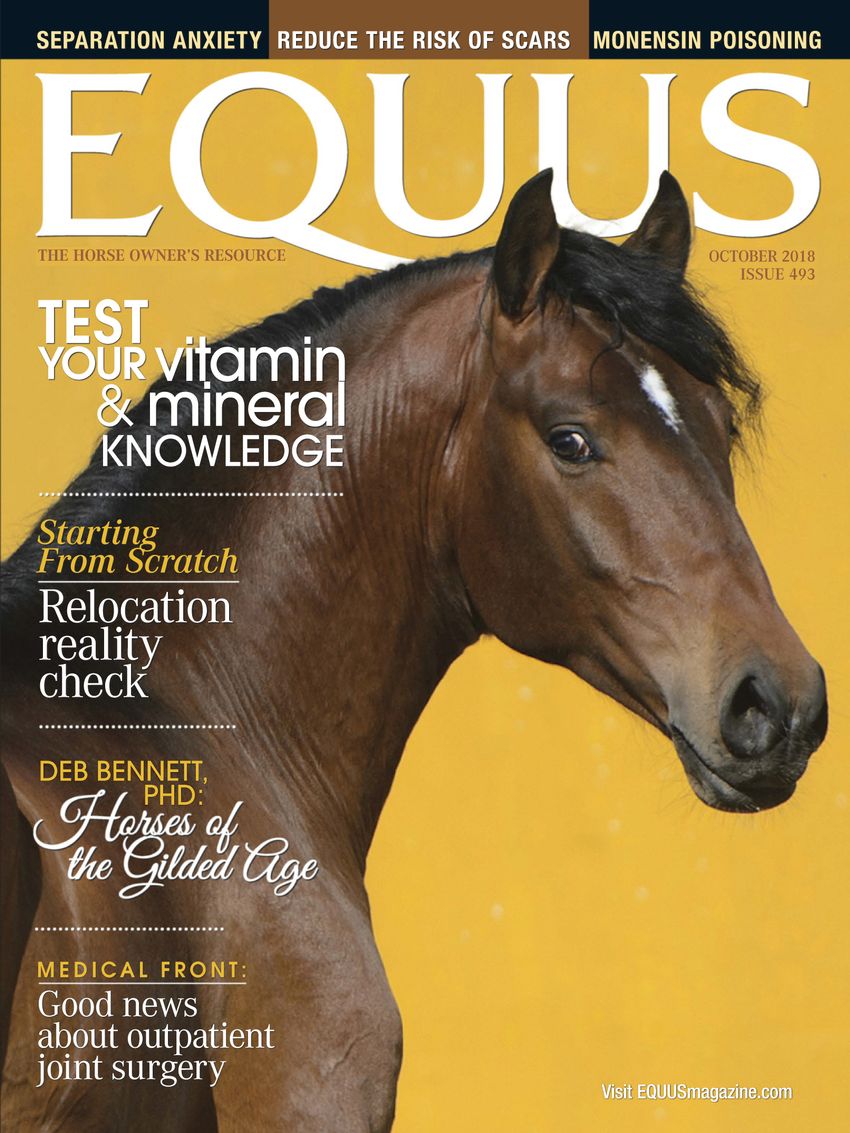 Equus October 01, 2018 Issue Cover
