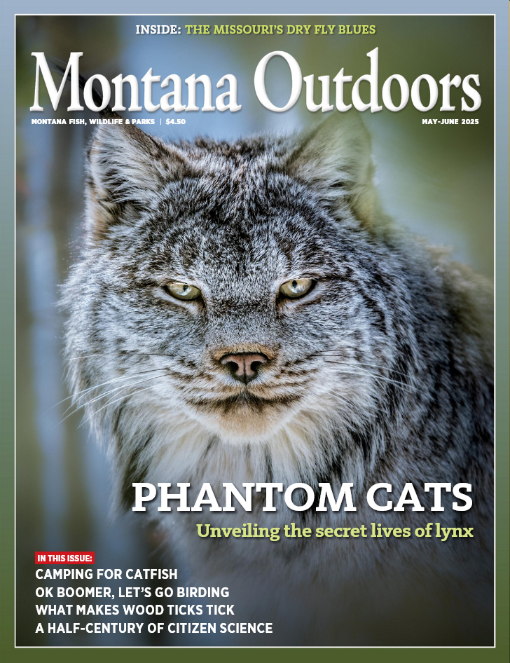 Montana Outdoors May 01, 2025 Issue Cover