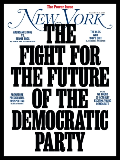 New York Magazine November 03, 2025 Issue Cover