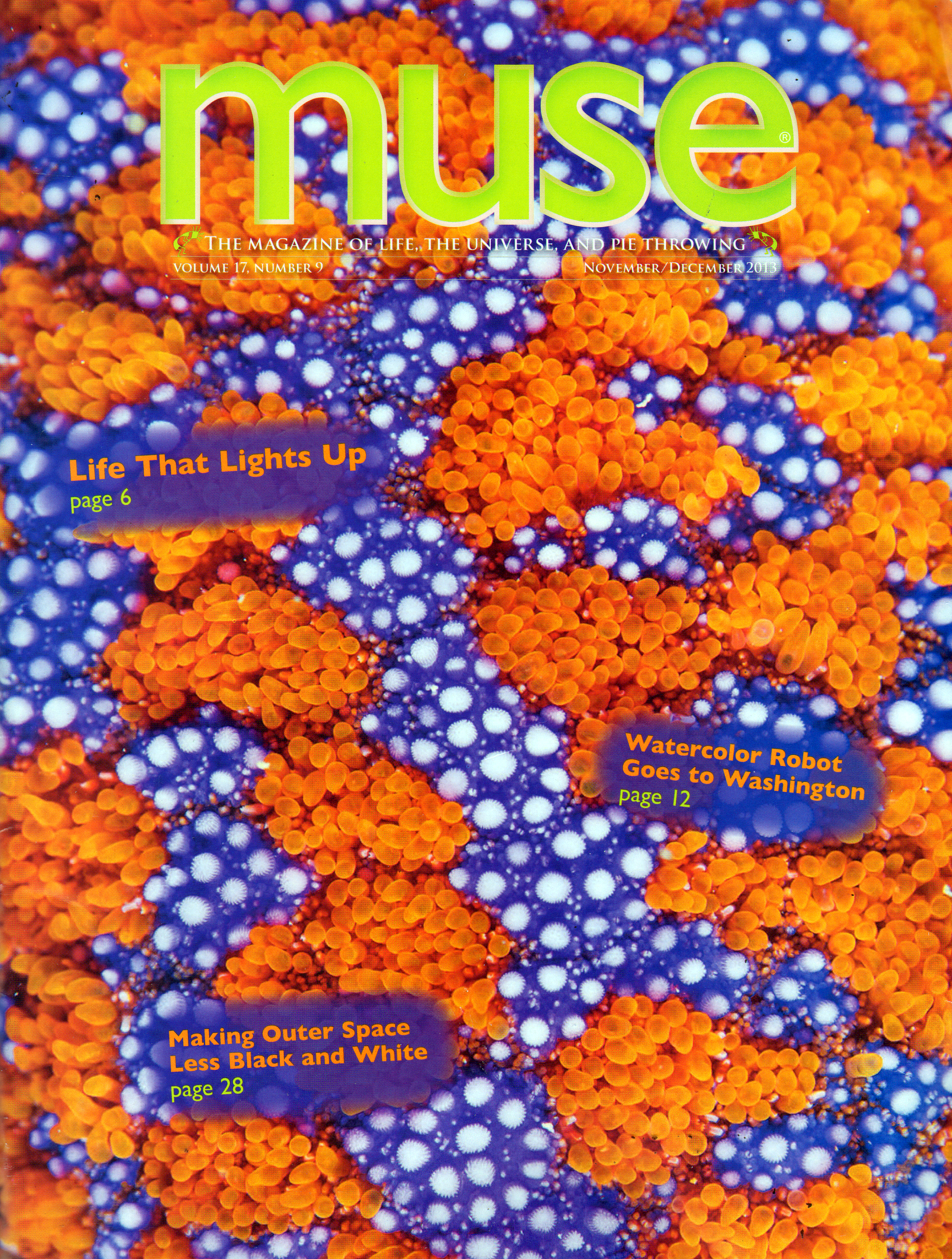 muse November 01, 2013 Issue Cover