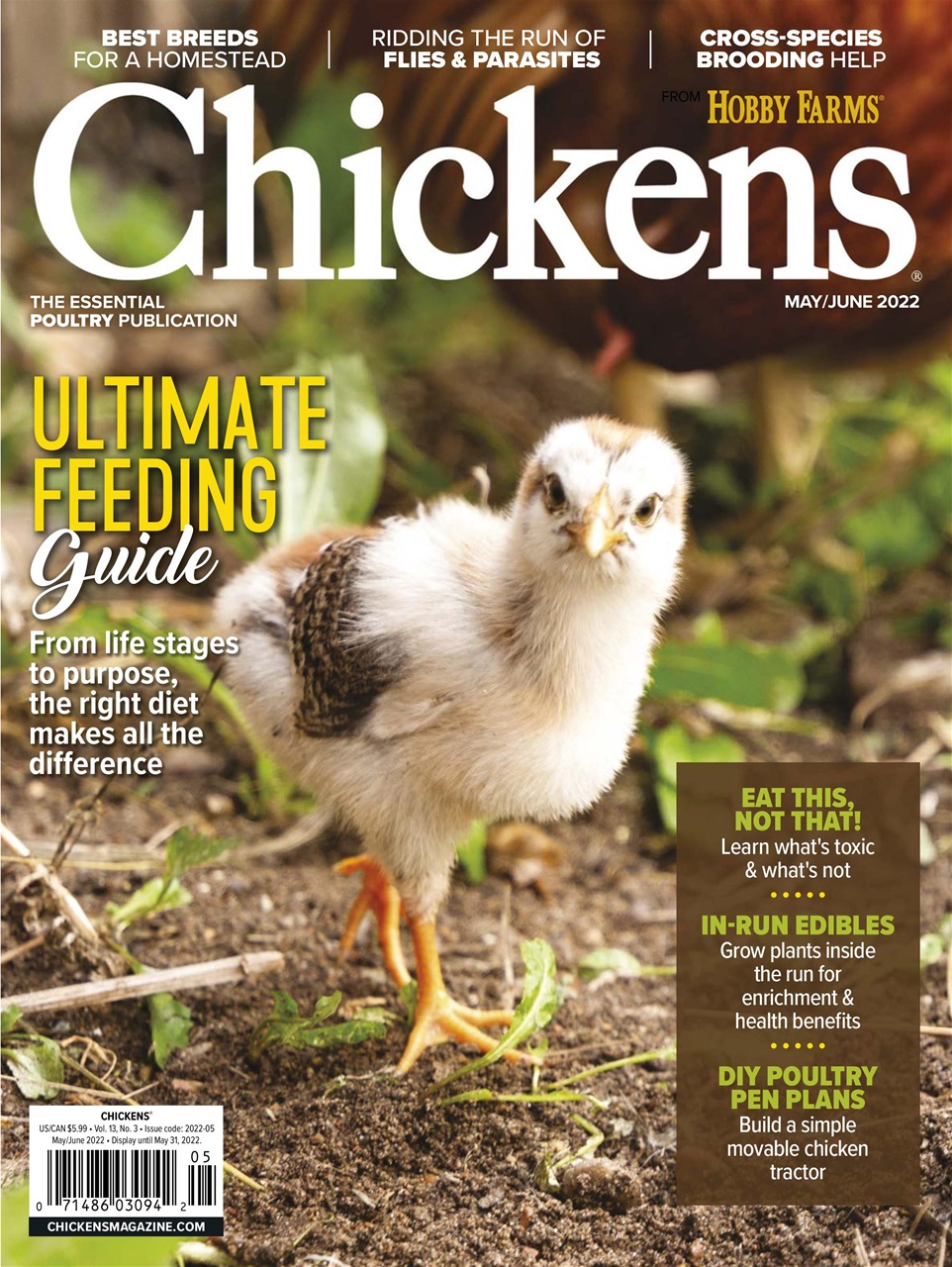 Subscribe to Chickens Magazine