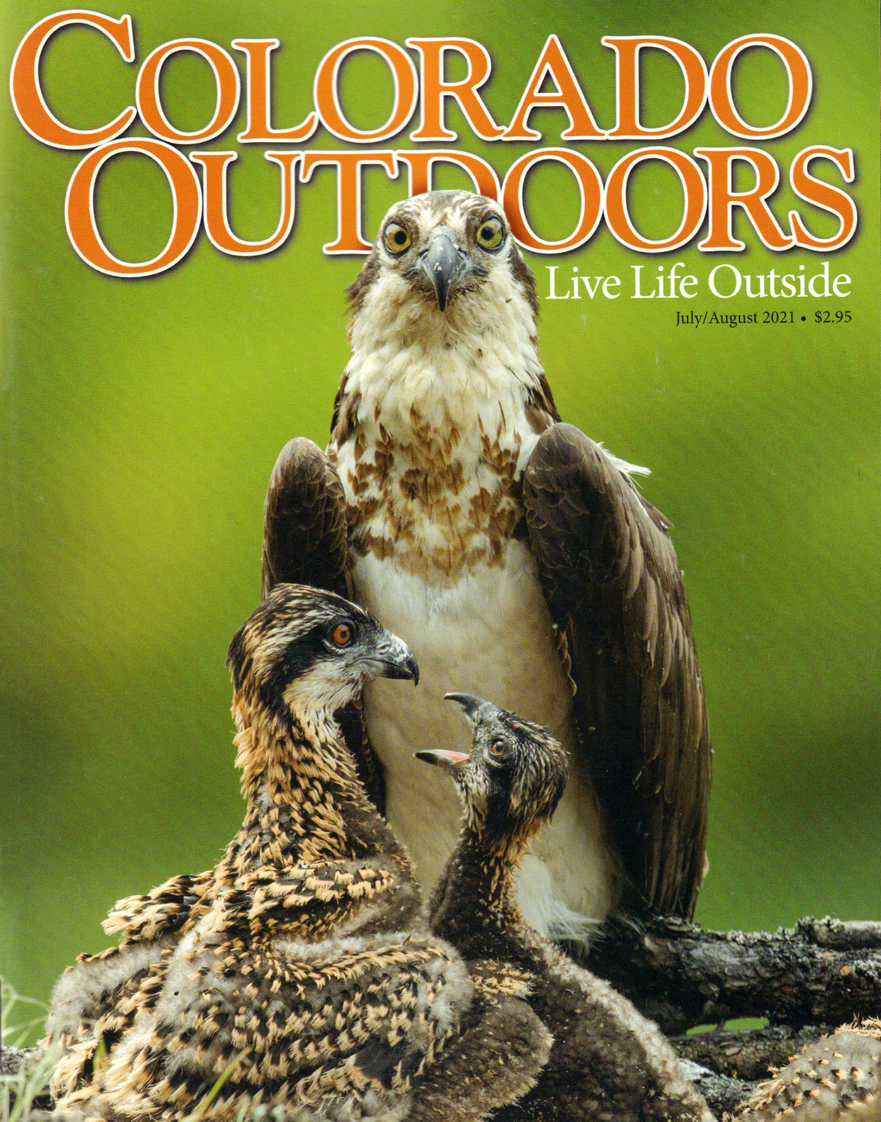 Colorado-Outdoors July 01, 2021 Issue Cover