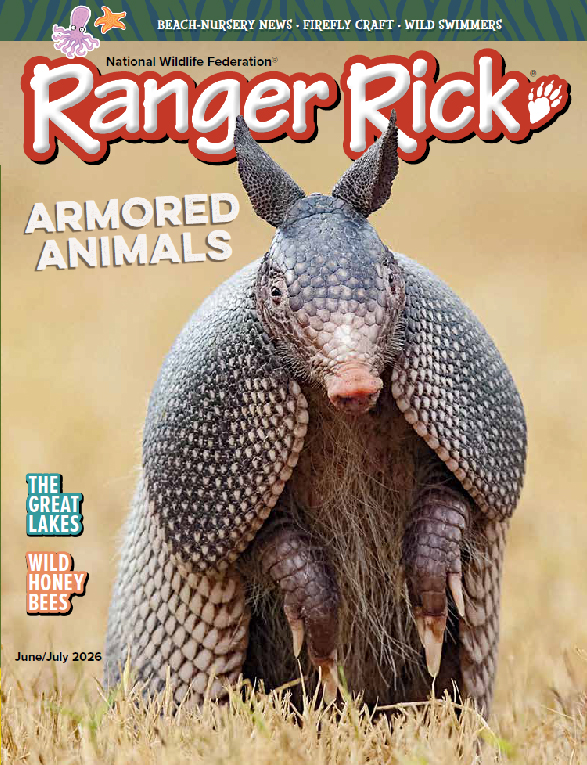 Ranger-Rick June 01, 2026 Issue Cover