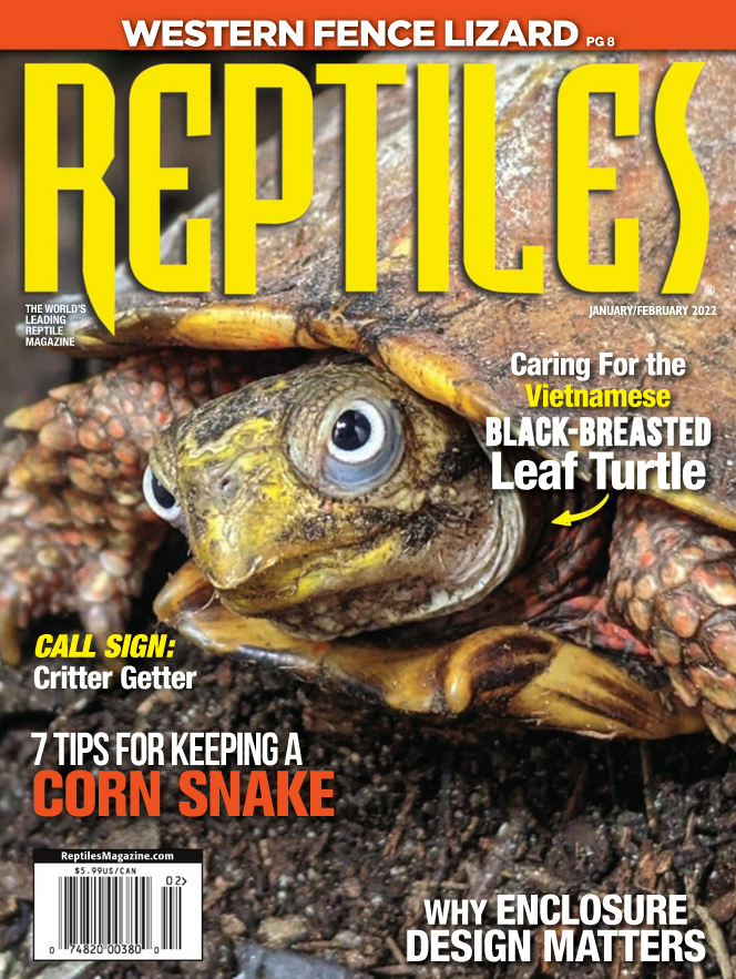 Reptiles January 01, 2022 Issue Cover