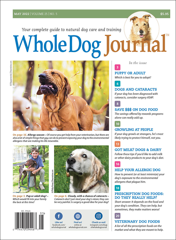 Whole-Dog-Journal May 01, 2022 Issue Cover