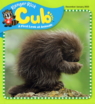 Ranger-Rick-Cub December 01, 2022 Issue Cover