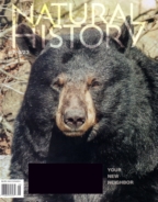 Natural-History July 01, 2023 Issue Cover