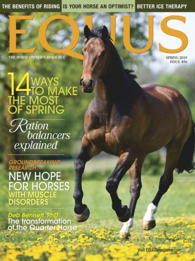 Equus March 01, 2019 Issue Cover