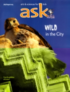 ask July 01, 2013 Issue Cover