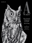 The-Atlantic July 01, 2022 Issue Cover