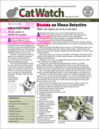 Catwatch January 01, 2020 Issue Cover