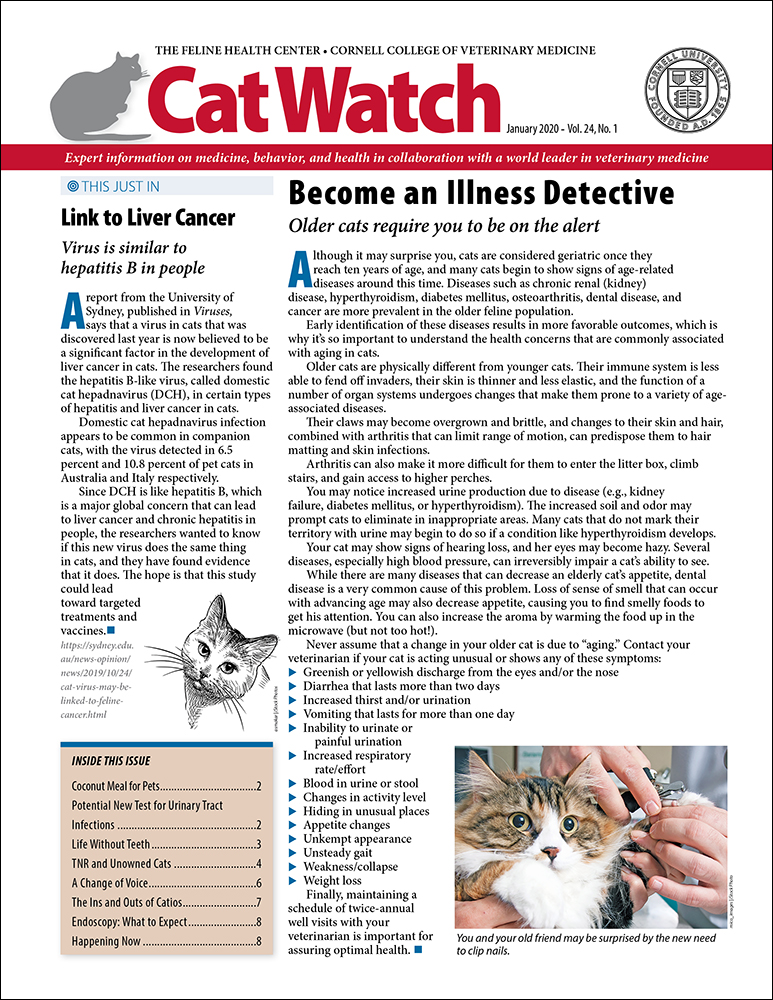 Catwatch January 01, 2020 Issue Cover