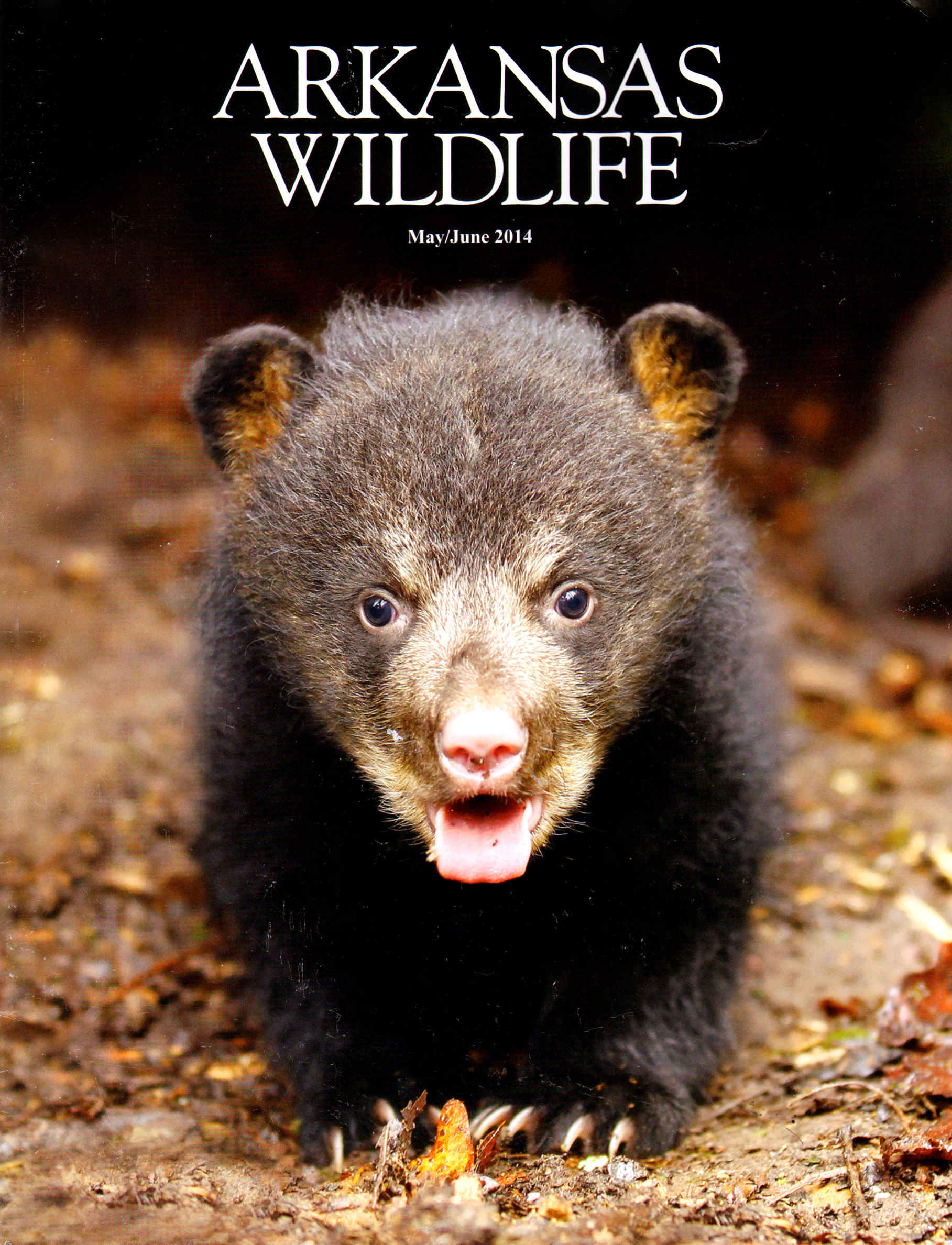 Arkansas-Wildlife May 01, 2014 Issue Cover