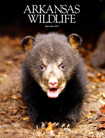Arkansas Wildlife May 01, 2014 Issue Cover