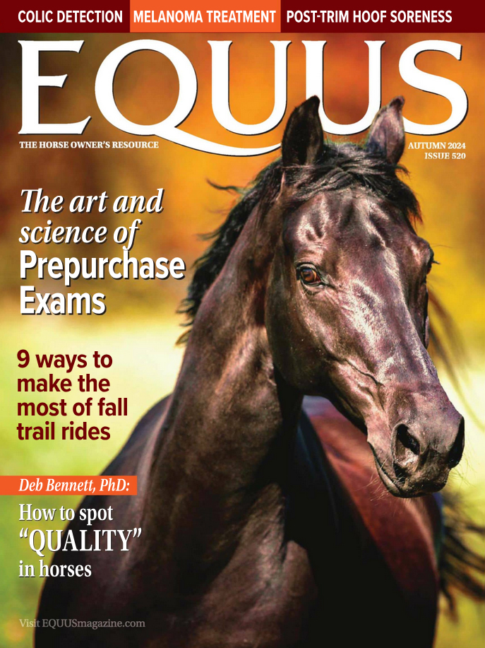 Equus September 01, 2024 Issue Cover