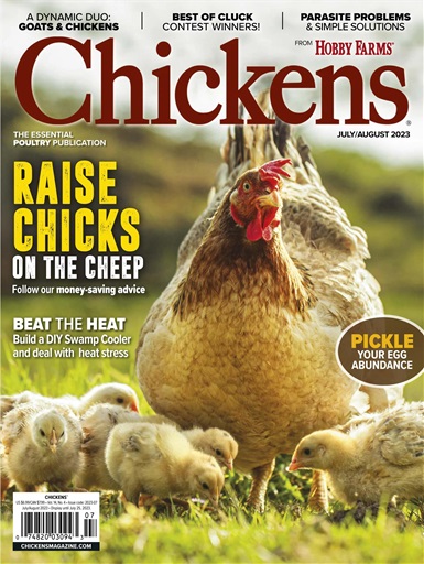 Chickens July 01, 2023 Issue Cover