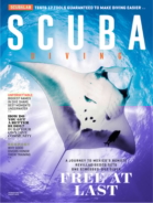 Scuba-Diving August 01, 2019 Issue Cover