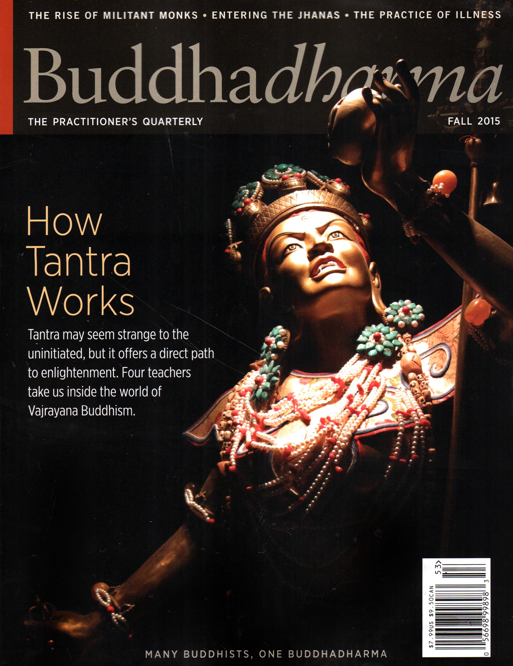 BUDDHADHARMA-THE-PRACTIONERS-QUARTERLY September 01, 2015 Issue Cover
