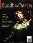 BUDDHADHARMA-THE-PRACTIONERS-QUARTERLY September 01, 2015 Issue Cover