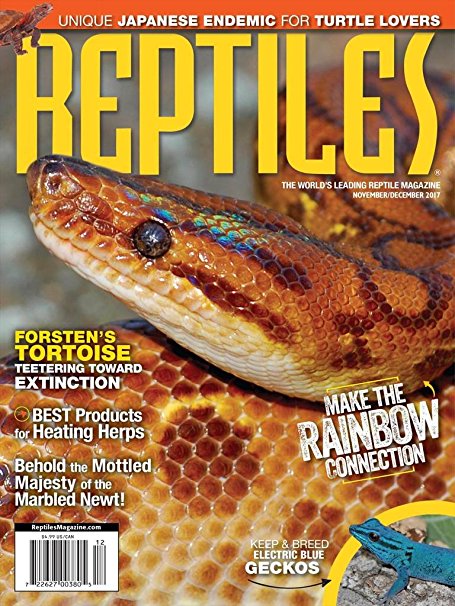 Reptiles November 01, 2017 Issue Cover