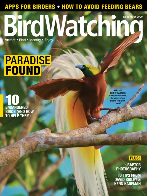 Bird-Watching December 01, 2020 Issue Cover