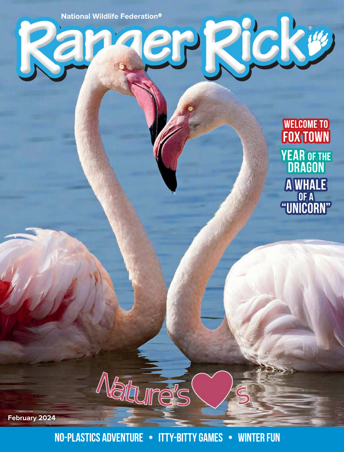 Ranger-Rick February 01, 2024 Issue Cover