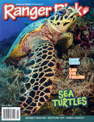 Ranger Rick Magazine Subscription