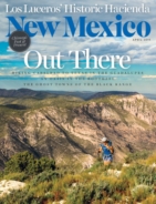 New-Mexico April 01, 2019 Issue Cover