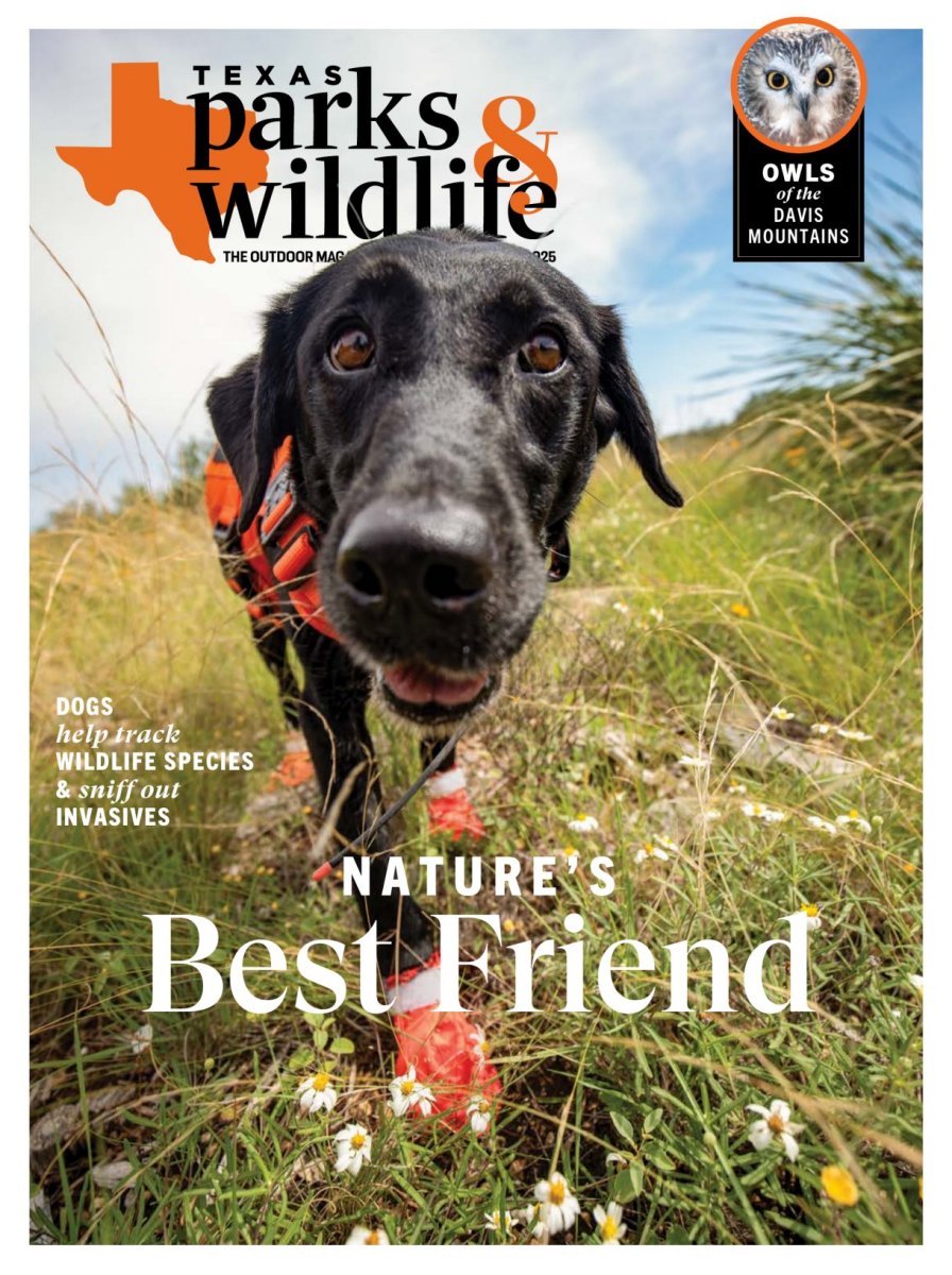 Texas-Parks-and-Wildlife August 01, 2025 Issue Cover