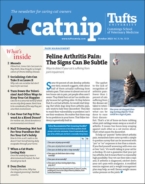 Catnip October 01, 2023 Issue Cover