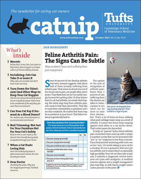 Catnip October 01, 2023 Issue Cover