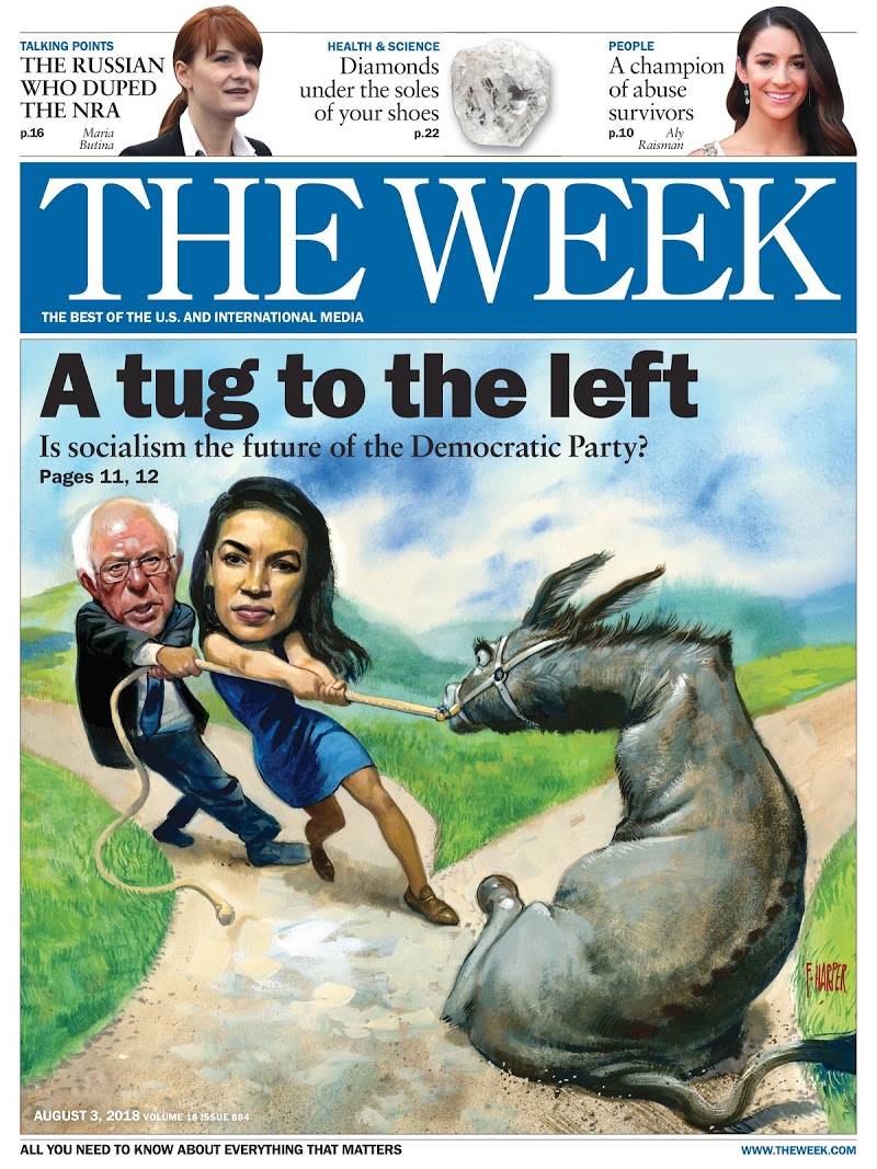 The-Week August 03, 2018 Issue Cover