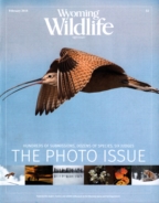 Wyoming-Wildlife February 01, 2016 Issue Cover