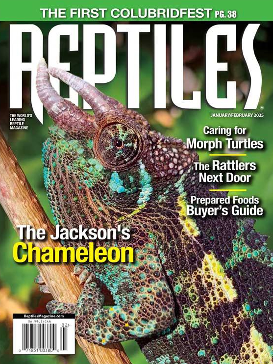 Reptiles January 01, 2025 Issue Cover