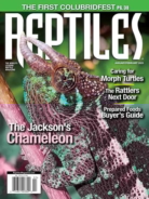 Reptiles January 01, 2025 Issue Cover