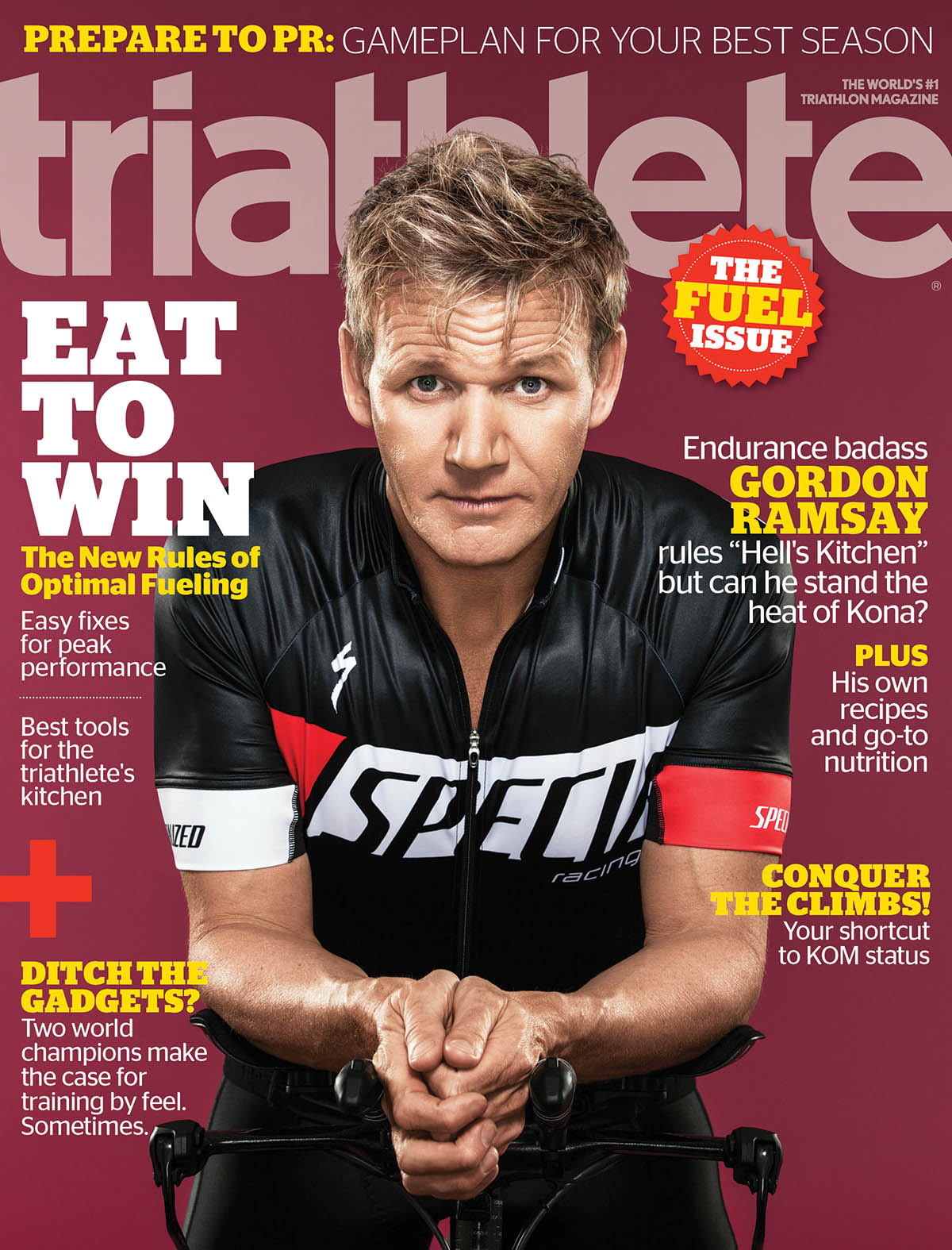 Triathlete November 01, 2013 Issue Cover