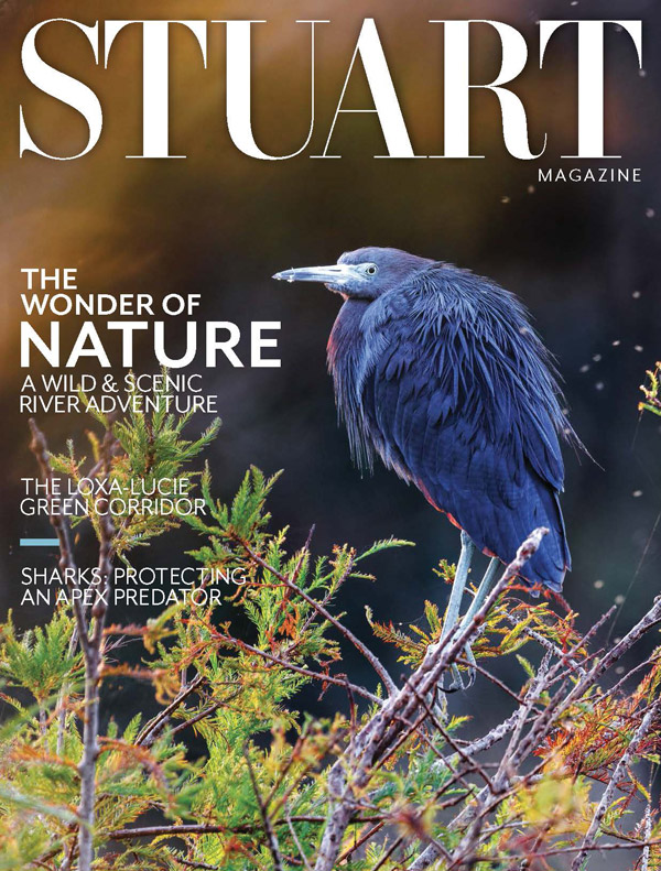 Stuart March 01, 2022 Issue Cover
