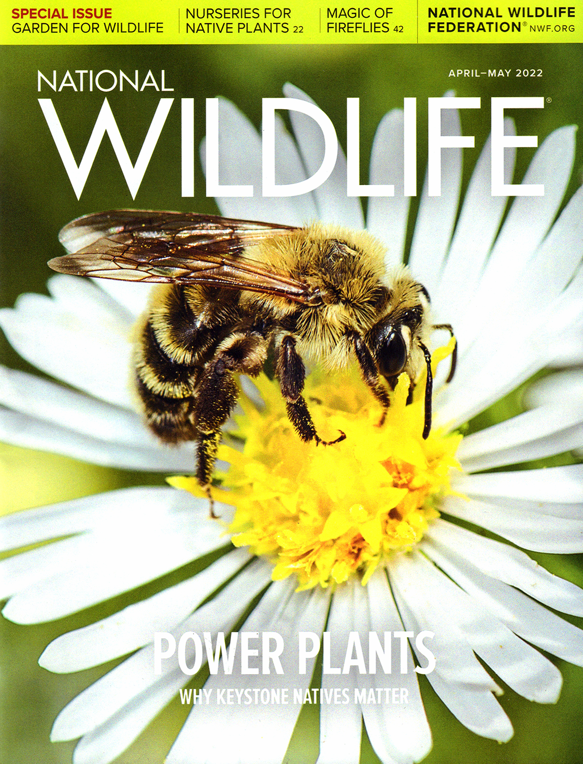 National-Wildlife April 01, 2022 Issue Cover