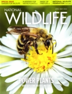 National-Wildlife April 01, 2022 Issue Cover