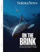 Science News July 01, 2025 Issue Cover