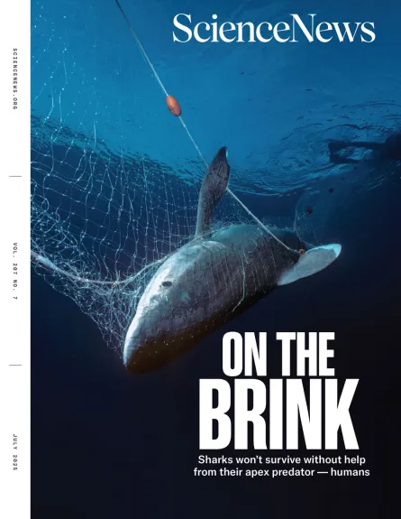 Science-News July 01, 2025 Issue Cover