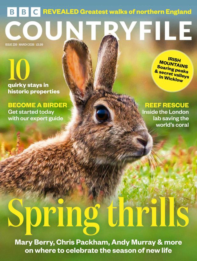BBC Countryfile March 01, 2026 Issue Cover