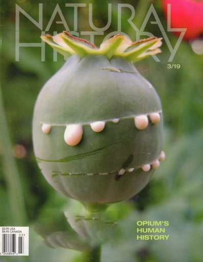 Natural History March 01, 2019 Issue Cover