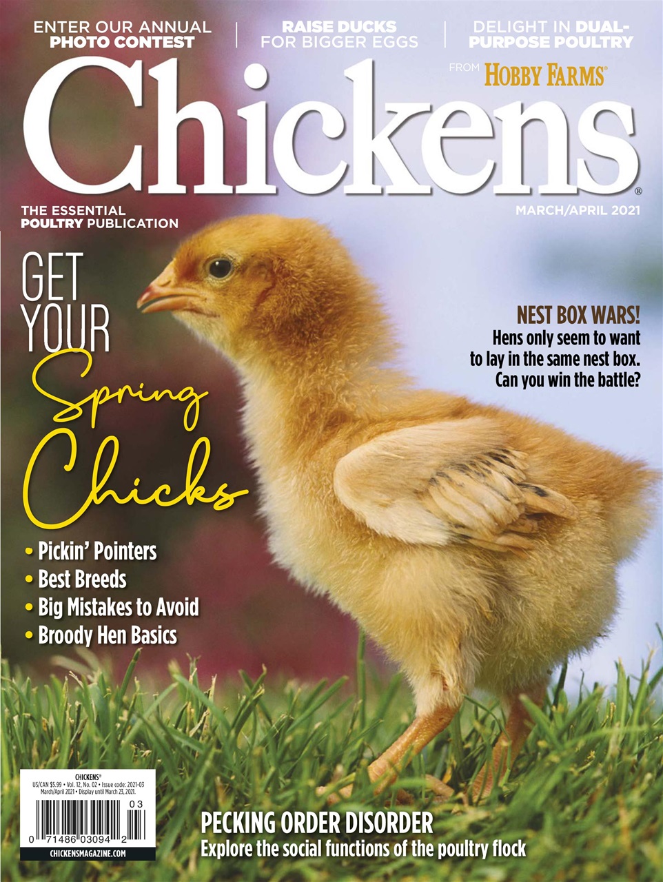 Chickens March 01, 2021 Issue Cover
