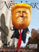 New York Magazine November 18, 2024 Issue Cover