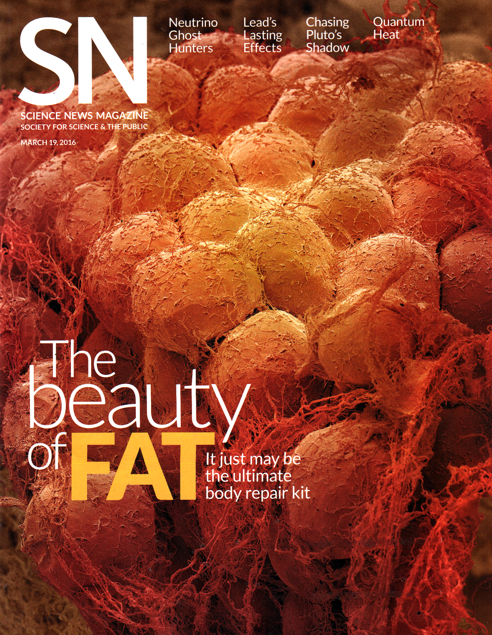 Science-News March 19, 2016 Issue Cover