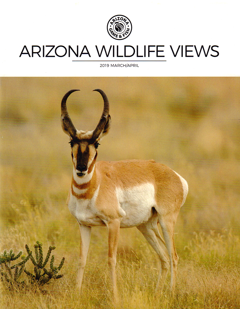 Arizona-Wildlife-Views March 01, 2019 Issue Cover