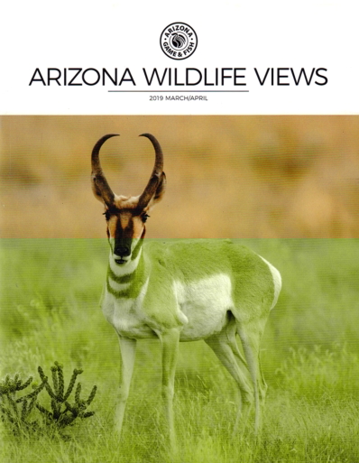 Arizona Wildlife Views March 01, 2019 Issue Cover