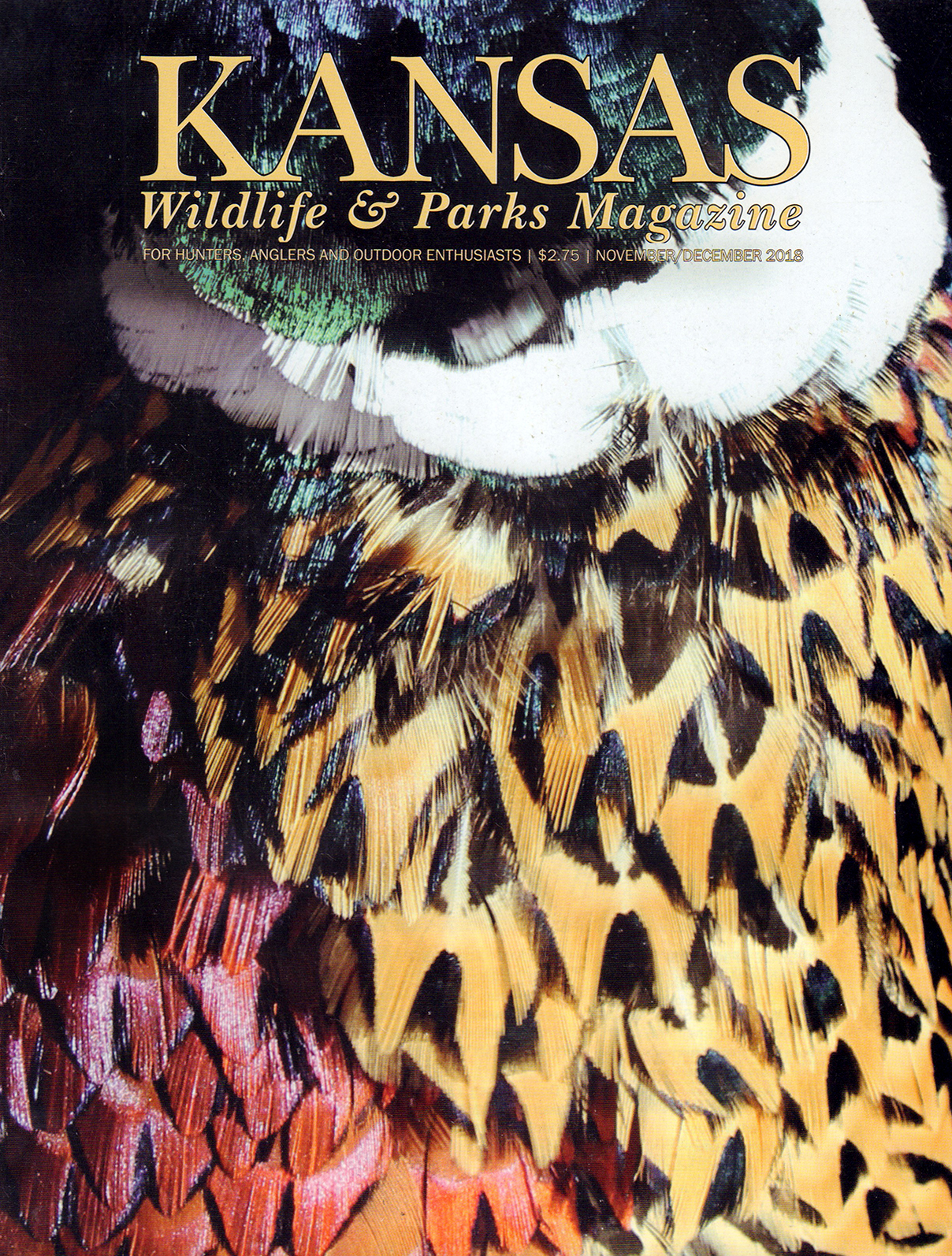 Kansas-Wildlife-and-Parks November 01, 2018 Issue Cover
